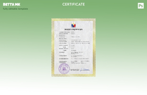 Модерен стил Филипини од витално значење за евиденција за смртен шаблон PSD шабл